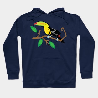 Colorful Toucan Hoodie